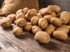 Интересные факты: картофель